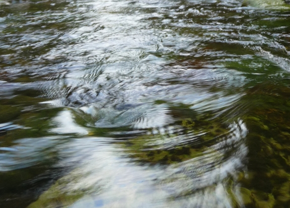  &nbsp; 
 Taucht man ein in eine seelische, k&ouml;rperliche oder mentale Blockade, so dr&auml;ngt was lange unterdr&uuml;ckt worden ist in das...