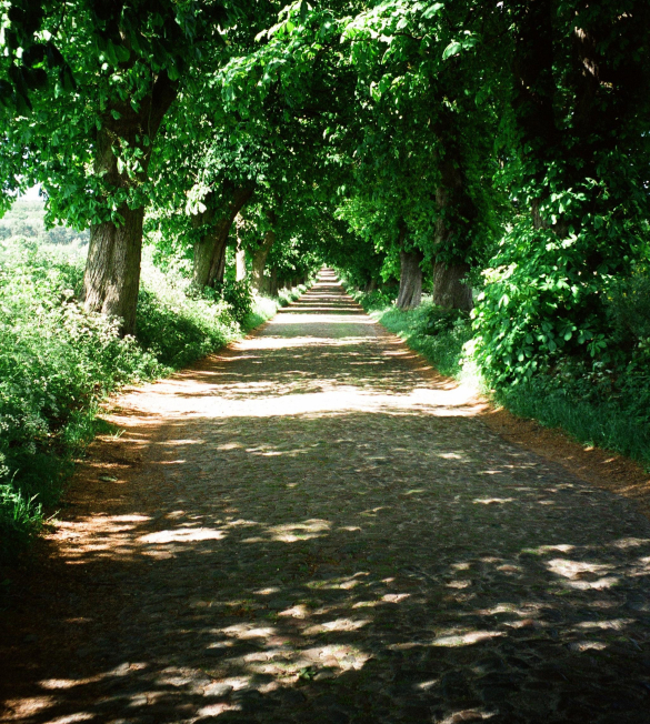  Die Heilerausbildung gliedert sich in 3 Teile: 
  Erfahrungsworkshop 
