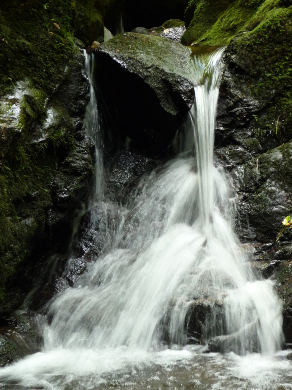   
 
   
   
     
 Kontakt  -->
       Ihr Name 
       

       Ihre Email-Adresse* 
       
      
       Ihre Telefonnummer (für Rückfragen)...