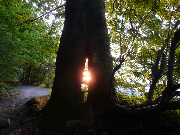 In einer Einzelsitzung werden Sie von mir in einen Entspannungszustand gef&uuml;hrt. Je entspannter Sie sind, umso mehr erschlie&szlig;t sich...
